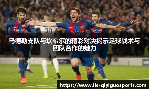 奇异果体育