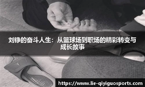 奇异果体育官网入口